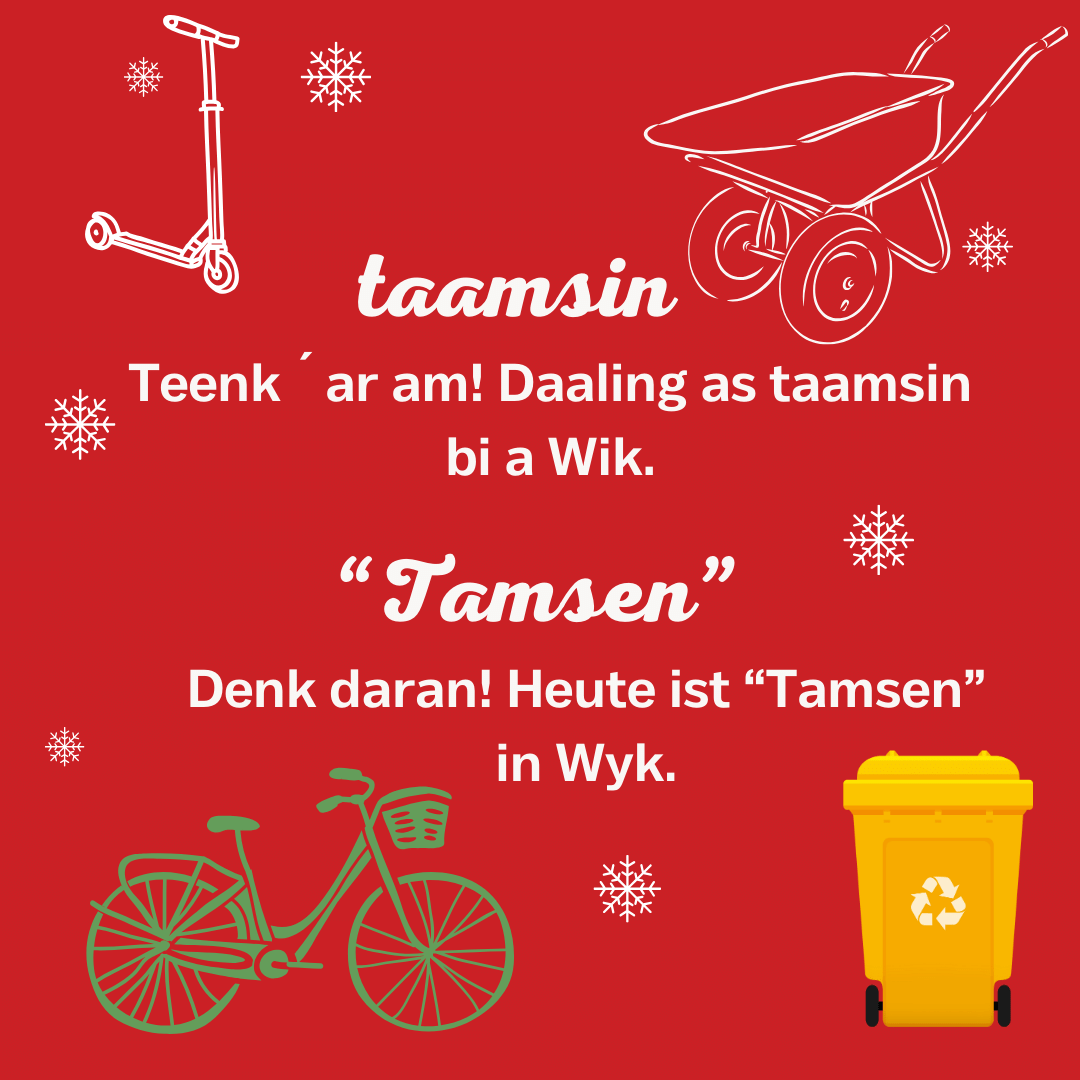 taamsin (1)